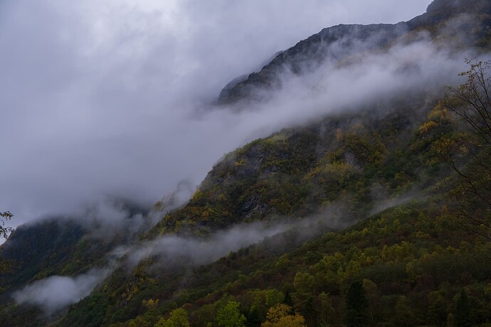 DSCF0359