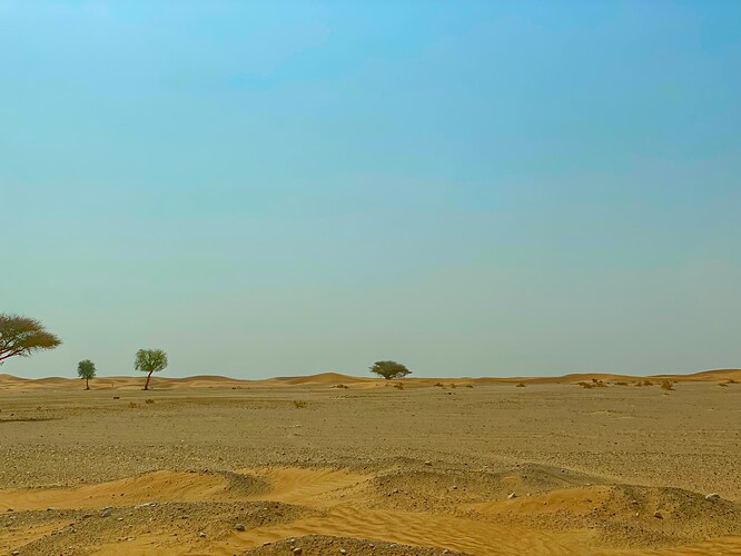 Desert 3-1