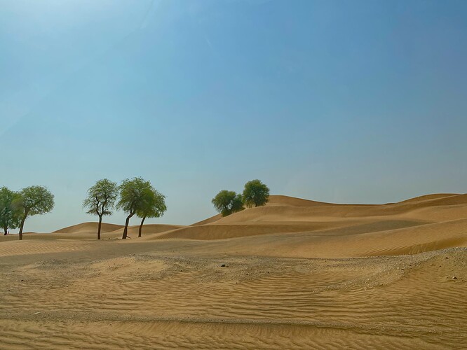 Desert 1-1