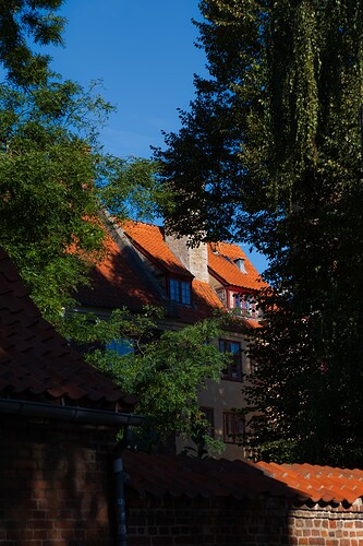 DSCF0109