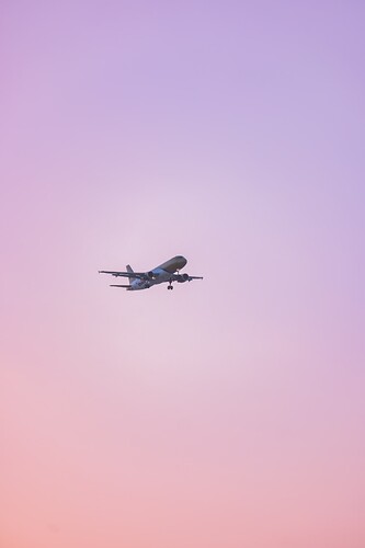DSCF3070