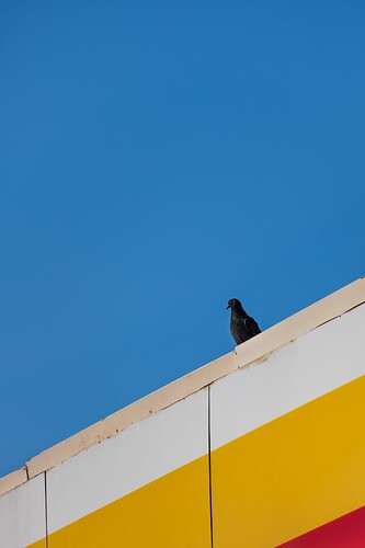 DSCF4278